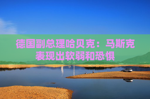 德国副总理哈贝克：马斯克表现出软弱和恐惧  第1张