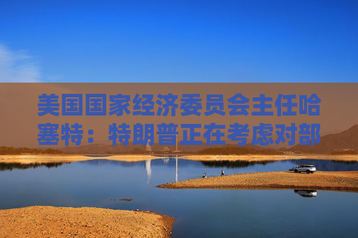 美国国家经济委员会主任哈塞特：特朗普正在考虑对部分国家暂停90天的关税