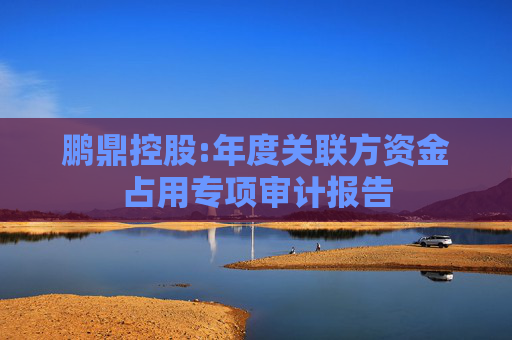 鹏鼎控股:年度关联方资金占用专项审计报告