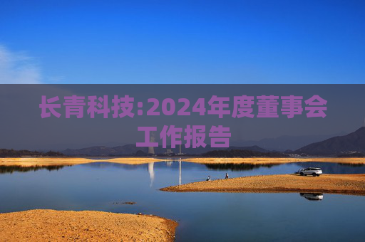 长青科技:2024年度董事会工作报告