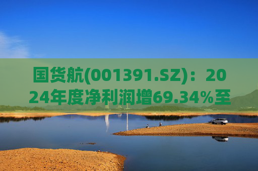 国货航(001391.SZ)：2024年度净利润增69.34%至19.53亿元 拟10派0.65元