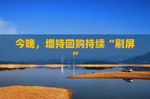今晚，增持回购持续“刷屏”