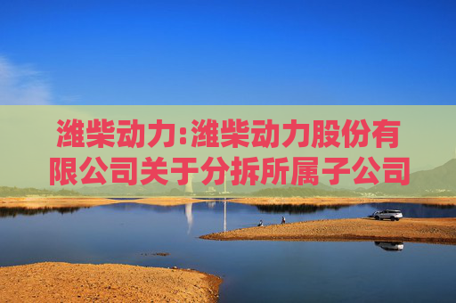 潍柴动力:潍柴动力股份有限公司关于分拆所属子公司潍柴雷沃智慧农业科技股份有限公司至香港联交所主板上市的预案  第1张