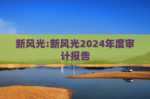 新风光:新风光2024年度审计报告  第1张
