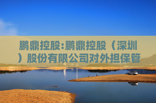 鹏鼎控股:鹏鼎控股（深圳）股份有限公司对外担保管理制度（2025年4月）