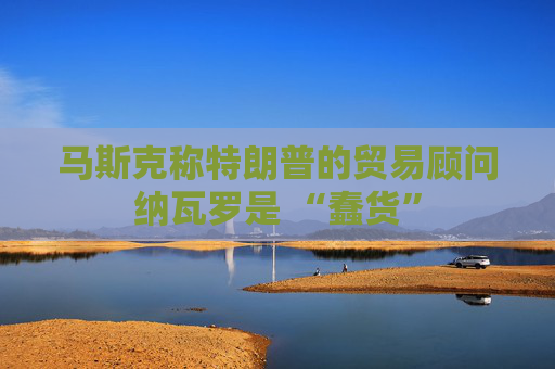 马斯克称特朗普的贸易顾问纳瓦罗是 “蠢货”