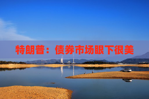 特朗普：债券市场眼下很美
