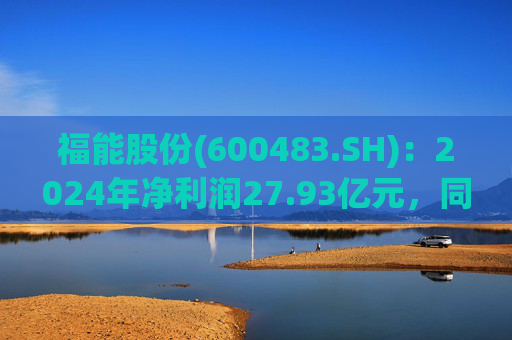 福能股份(600483.SH)：2024年净利润27.93亿元，同比增长6.47%  第1张