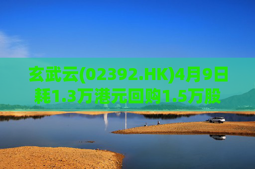 玄武云(02392.HK)4月9日耗1.3万港元回购1.5万股  第1张