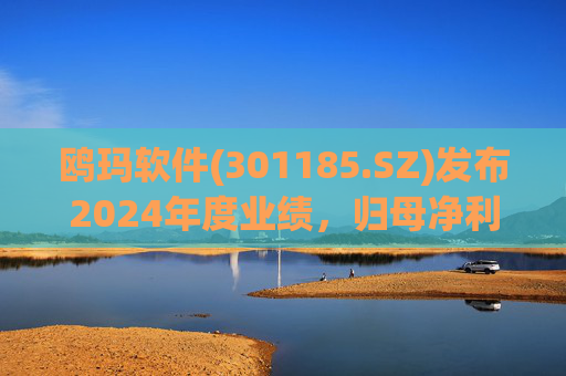 鸥玛软件(301185.SZ)发布2024年度业绩，归母净利润7010.02万元，下降8.35%