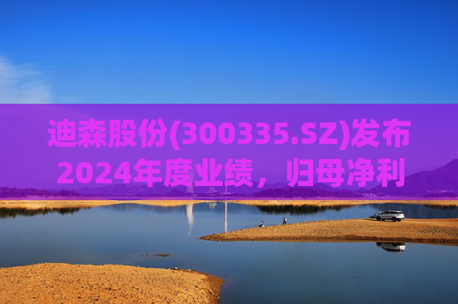 迪森股份(300335.SZ)发布2024年度业绩，归母净利润4853.65万元，下降18.96%