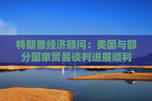 特朗普经济顾问：美国与部分国家贸易谈判进展顺利