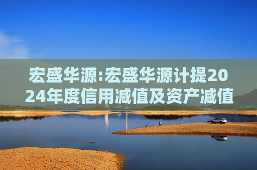 宏盛华源:宏盛华源计提2024年度信用减值及资产减值准备的公告