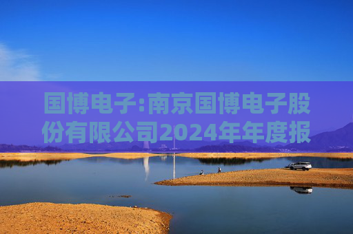 国博电子:南京国博电子股份有限公司2024年年度报告