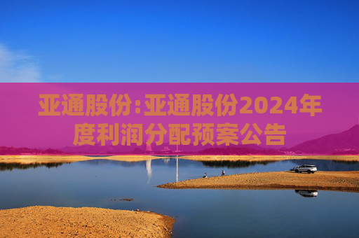 亚通股份:亚通股份2024年度利润分配预案公告