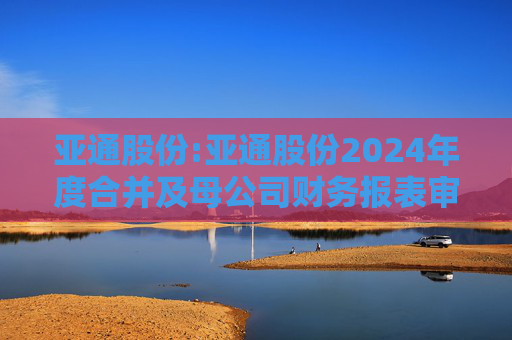 亚通股份:亚通股份2024年度合并及母公司财务报表审计报告书