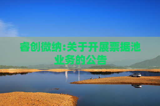 睿创微纳:关于开展票据池业务的公告  第1张