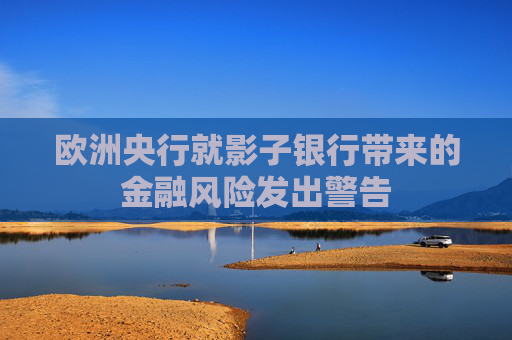 欧洲央行就影子银行带来的金融风险发出警告