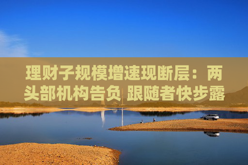 理财子规模增速现断层：两头部机构告负 跟随者快步露锋芒  第1张