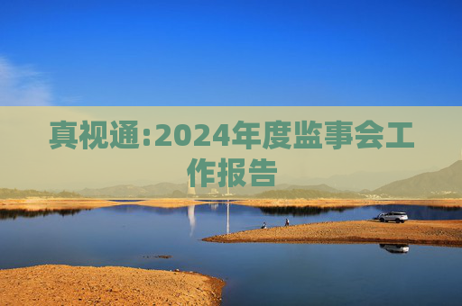 真视通:2024年度监事会工作报告  第1张