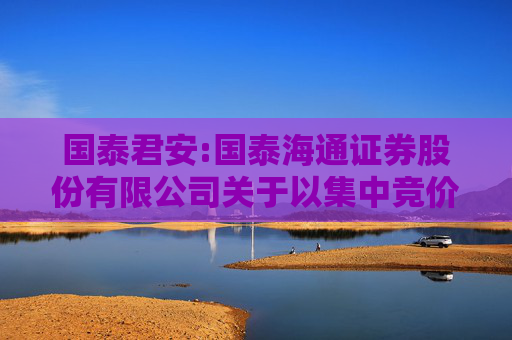 国泰君安:国泰海通证券股份有限公司关于以集中竞价交易方式首次回购公司A股股份的公告