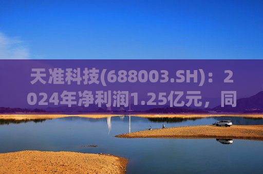 天准科技(688003.SH)：2024年净利润1.25亿元，同比下降42.05%
