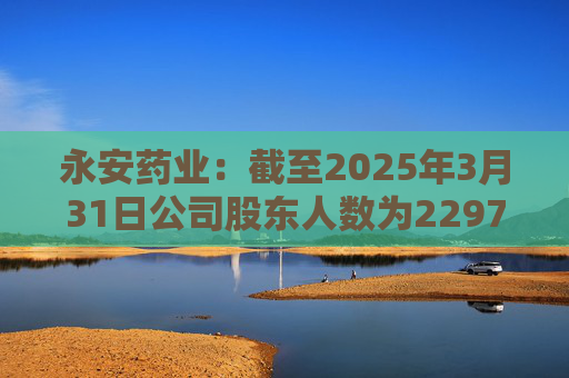 永安药业：截至2025年3月31日公司股东人数为22971户  第1张