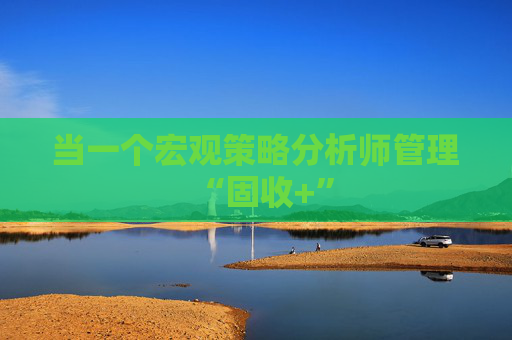 当一个宏观策略分析师管理“固收+”  第1张