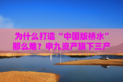 为什么打造“中国版桥水”那么难？申九资产旗下三产品年内收益率亏超8%  第1张