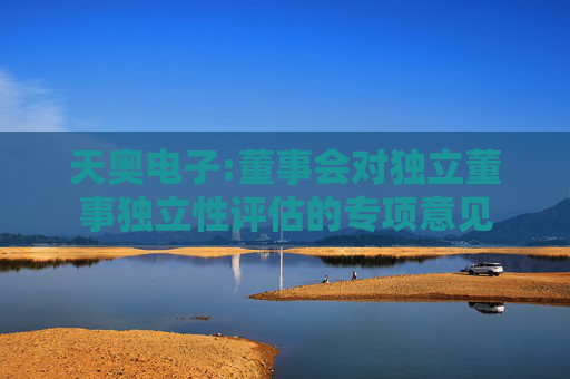 天奥电子:董事会对独立董事独立性评估的专项意见