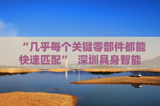 “几乎每个关键零部件都能快速匹配”  深圳具身智能生态先行一步
