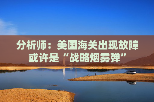 分析师：美国海关出现故障或许是“战略烟雾弹”