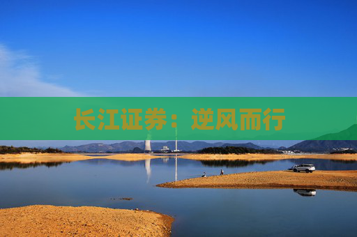 长江证券：逆风而行  第1张