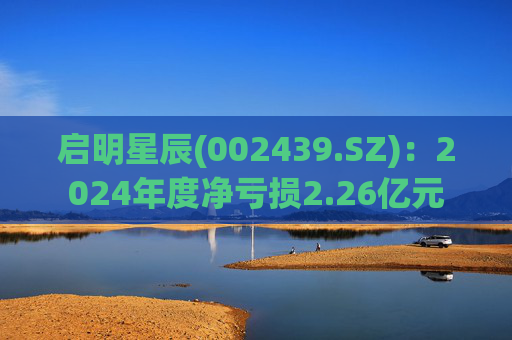 启明星辰(002439.SZ)：2024年度净亏损2.26亿元  第1张
