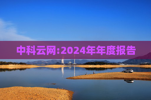 中科云网:2024年年度报告