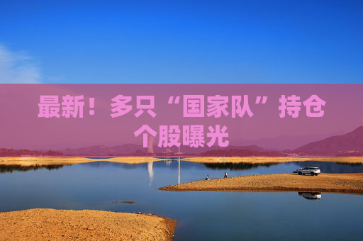 最新！多只“国家队”持仓个股曝光