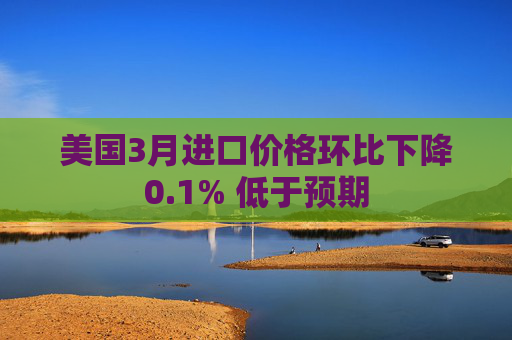 美国3月进口价格环比下降0.1% 低于预期