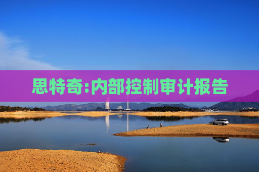 思特奇:内部控制审计报告