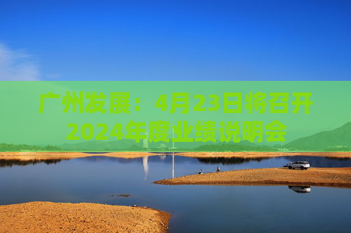 广州发展：4月23日将召开2024年度业绩说明会