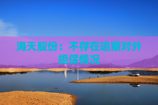 海天股份：不存在逾期对外担保情况  第1张