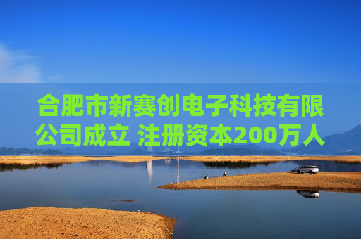 合肥市新赛创电子科技有限公司成立 注册资本200万人民币