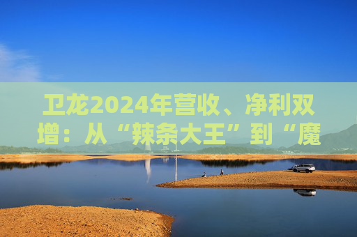 卫龙2024年营收、净利双增：从“辣条大王”到“魔芋巨头”的战略转型与增长密码  第1张