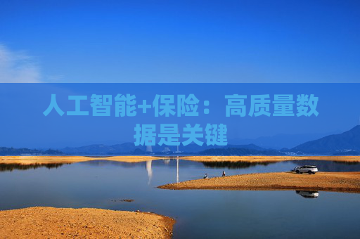 人工智能+保险：高质量数据是关键