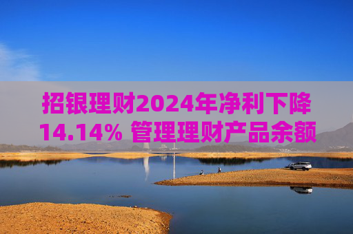 招银理财2024年净利下降14.14% 管理理财产品余额下降3.14%  第1张