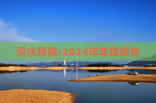 深水规院:2024年年度报告