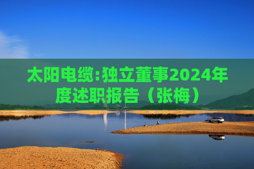 太阳电缆:独立董事2024年度述职报告（张梅）