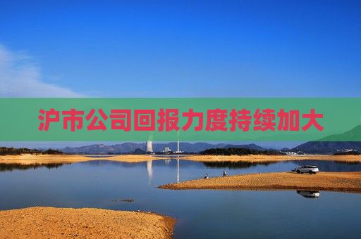 沪市公司回报力度持续加大  第1张