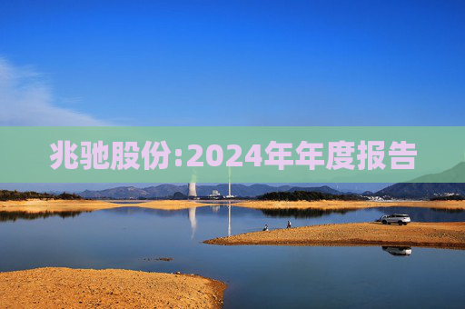 兆驰股份:2024年年度报告