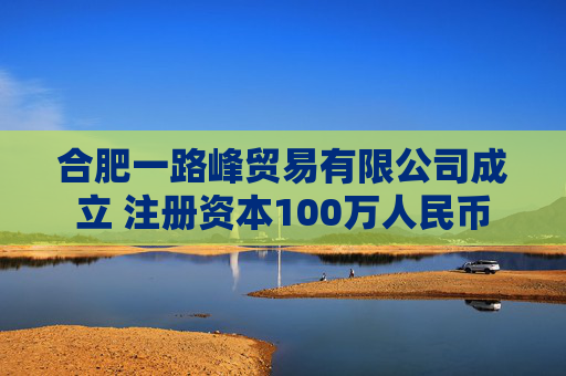 合肥一路峰贸易有限公司成立 注册资本100万人民币