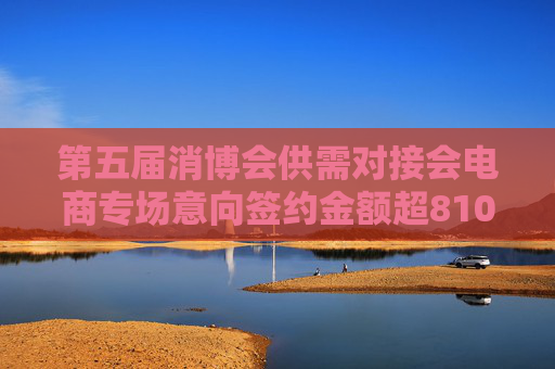 第五届消博会供需对接会电商专场意向签约金额超810亿元